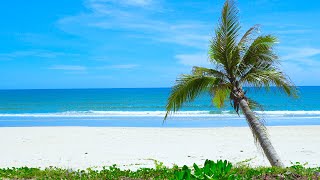 Tropical Beach with Ocean Sounds and Rolling Waves for Relax, Sleep, Stress Relief