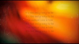 David Gray - Back In The World [Lyrics]