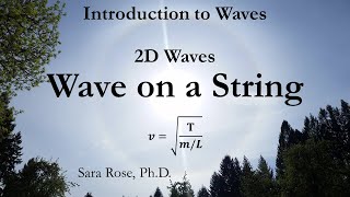 Wave on a String - 2D Waves (SHM & Waves)