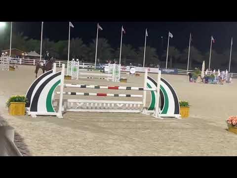 Z7 ASCOT | Emirates Equestrian Club | 2* 1.40