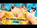 Haciendo SLIME por primera vez! PRUEBO RECETAS de mis seguidores con mis GATOS los Diverticats! 🐈