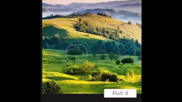 Pixlr X Remove Object