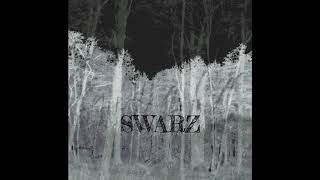 SWARZ - ALONE