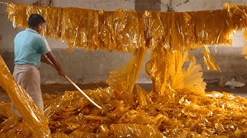 Why Melted Bugs Coat Your Favorite Candy