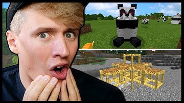 PLAYING MINECRAFT 1.14 UPDATE BETA! *Pandas, Scaffolding, Cats* (My Thoughts!)