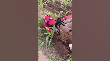 Mini Tiller Machine in Action | Powerful Farming Tool for Easy Soil Preparation part 1011