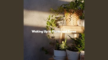 Pulsating Moods for Sitting Back Universe