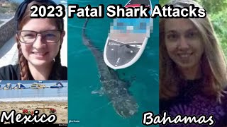 Tragic Fatal Shark Attacks: Two Women Killed in the Bahamas, One Fatality in Mexico