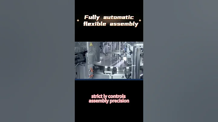 Fully Automated Flexible Assembly Line