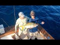 Half day yellowtail crush on the catch 22  giant flag yellowtail