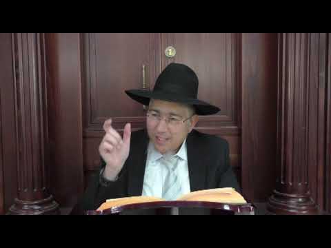 פרשת שמיני עם פירוש 'אור החיים' החקדוש  - הרב שלמה ברסקה שליט"א