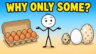 Why Don’t We Eat Other Animal Eggs?