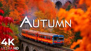 Autumn 4K UHD 🍁 Peak Fall Foliage, Golden Forests & Relaxing Piano Music screenshot 4
