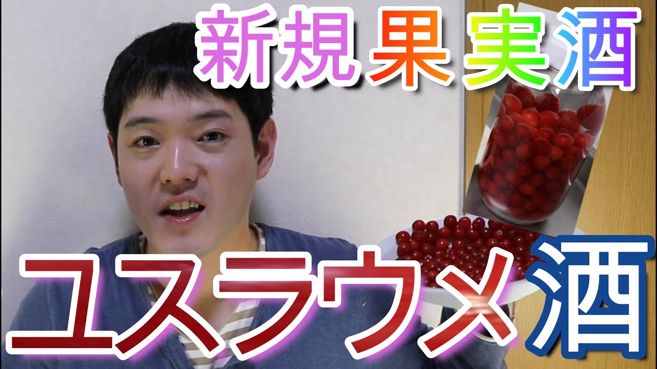 ユスラウメを果実酒にしてみました Youtube