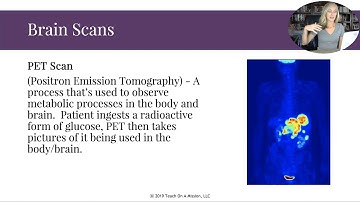 Brain Flipped Notes Part One for AP Psychology by Mandy Rice