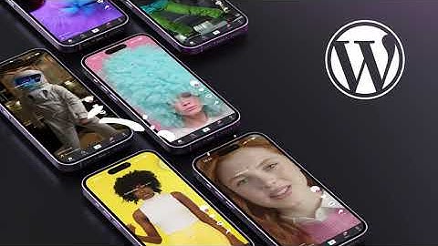 TikTok Feed - The Best WordPress TikTok Plugin