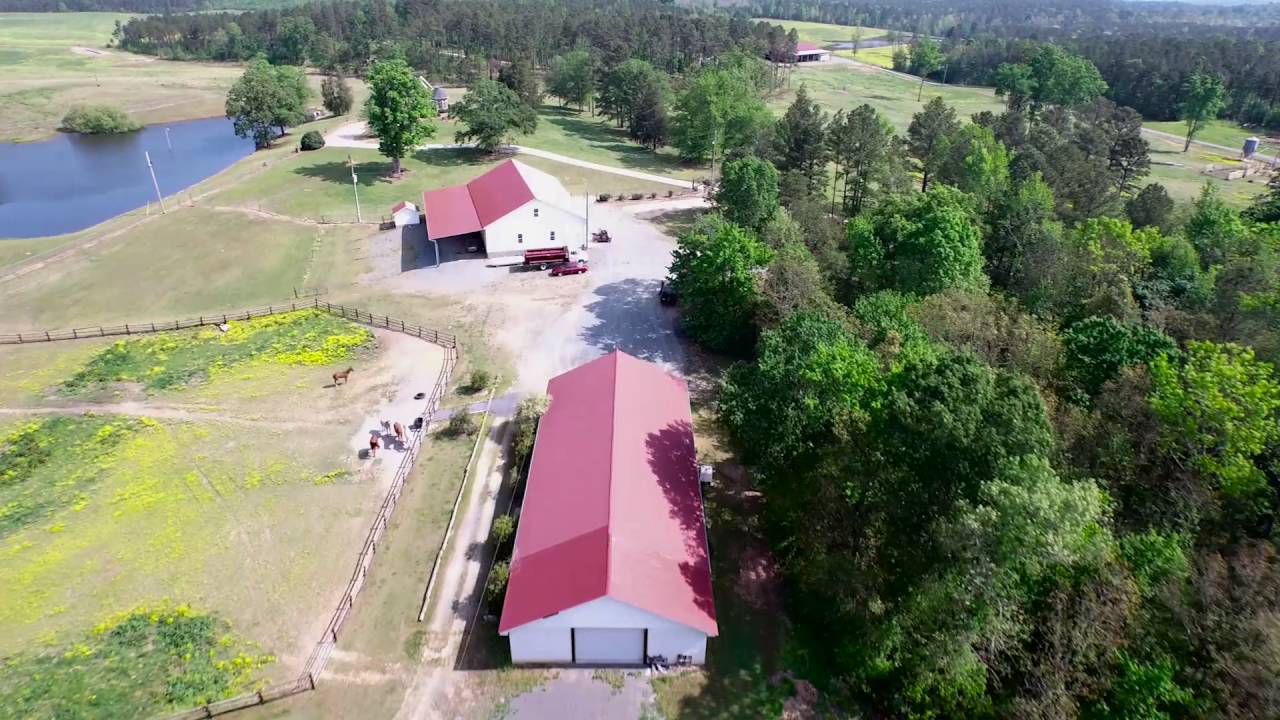 Bridges Farm YouTube