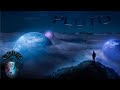 PLUTO CALABOZA Official Video 
