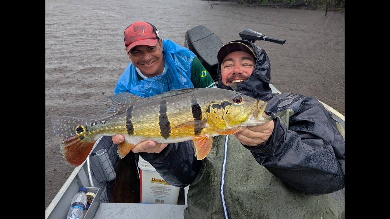 Expendables II Back to the Amazon 2026 Partie 3