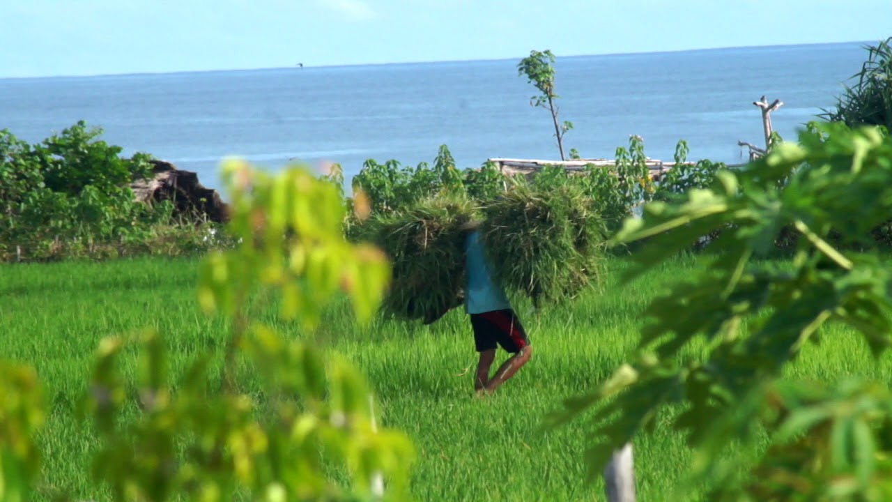 Snaffl Villa and neighbours