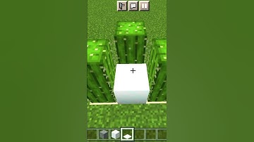 Minecraft logic snow vs cactus 😱 #shorts #viral #minecraft