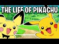 The Life Of Pikachu (Pokémon)