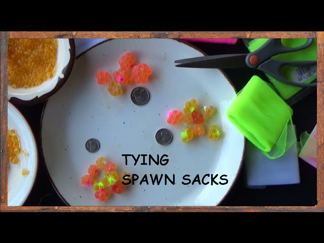 How to Tie Spawn Sacks With Jarred Salmon Eggs 