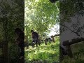 hop hop | 05/28/25