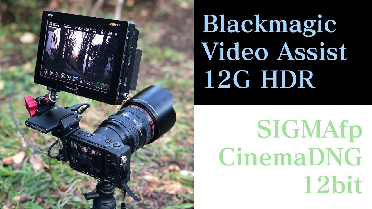 Blackmagic Video Assist7