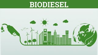 How Is Biodiesel made