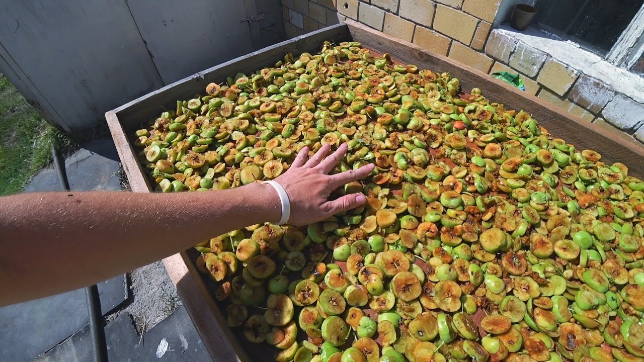 САМОДЕЛЬНАЯ ЯБЛОКОРЕЗКА для СУХОФРУКТОВ.РАЗНЫЕ ДЕЛА -Ассорти ...