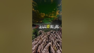 القارئ محمد اللحيدان {سورة آل عمران الآية 104}