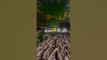 القارئ محمد اللحيدان {سورة آل عمران الآية 104}