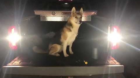 Replacing 2015+ Chevy Colorado Backup Lights with LED