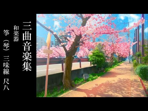 三味線　地唄　三曲 地唄【鶴の声】尺八・箏・三味線 Jiuta 【Tsuru no koe】三曲