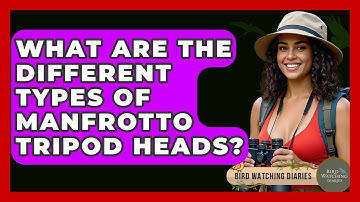 What Are The Different Types Of Manfrotto Tripod Heads? - Bird Watching Diaries