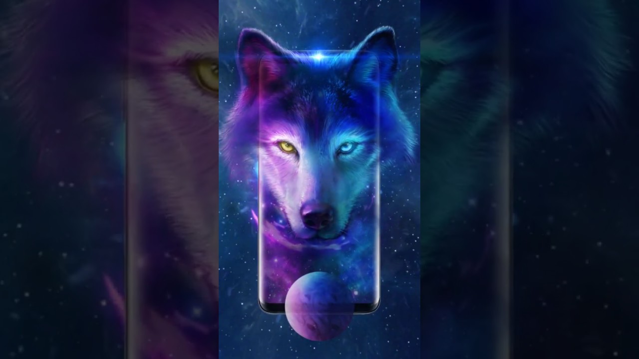 Fantastic wolf live wallpapers for all wolf lovers! - YouTube