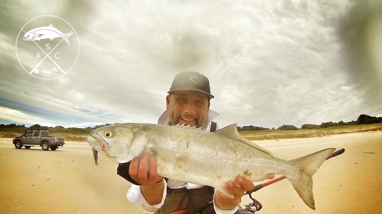 Tailor Fishing (& Jewfish) 'Full Swing' Episode 8 Metal lure