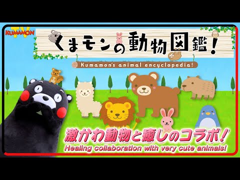 熊モン くまモンTV ♯270 くまモンの動物図鑑！激かわ動物と癒しの