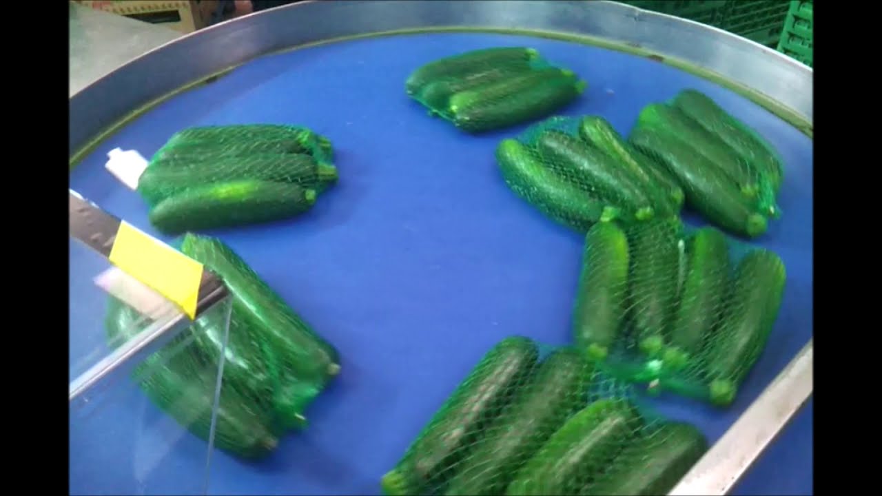 VEGA - HORIZONTAL CLIP NETTING MACHINE - RETINATRICE ORIZZONTALE CON CLIP