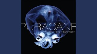 Video thumbnail of "Puracane - Riddle Me This"