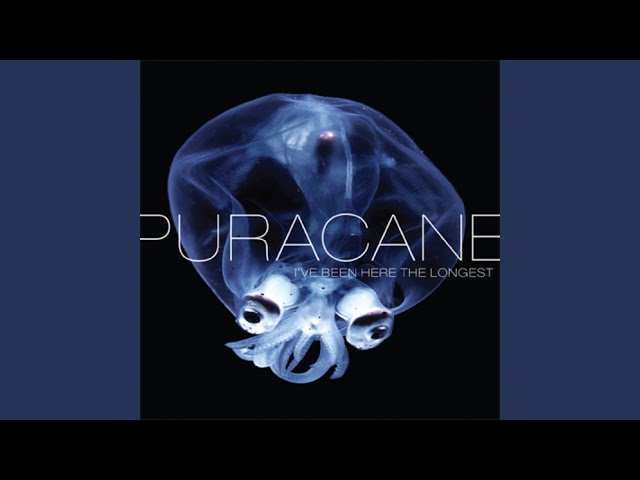 Puracane - Riddle Me This