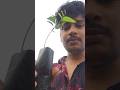 Invest for future #short #shortsvideo #financialmarket #sharemarket #trading