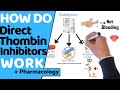 How do direct thrombin inhibitors work dabigatran