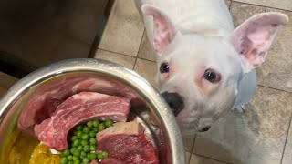 RAW MEAT DOG MEAL PREP + FEEDING TIPS 🥩 by Tawny Antle 4,298 views 3 years ago 20 minutes