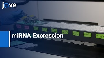 Prostate Cancer Tissues to Analyse miRNA Expression