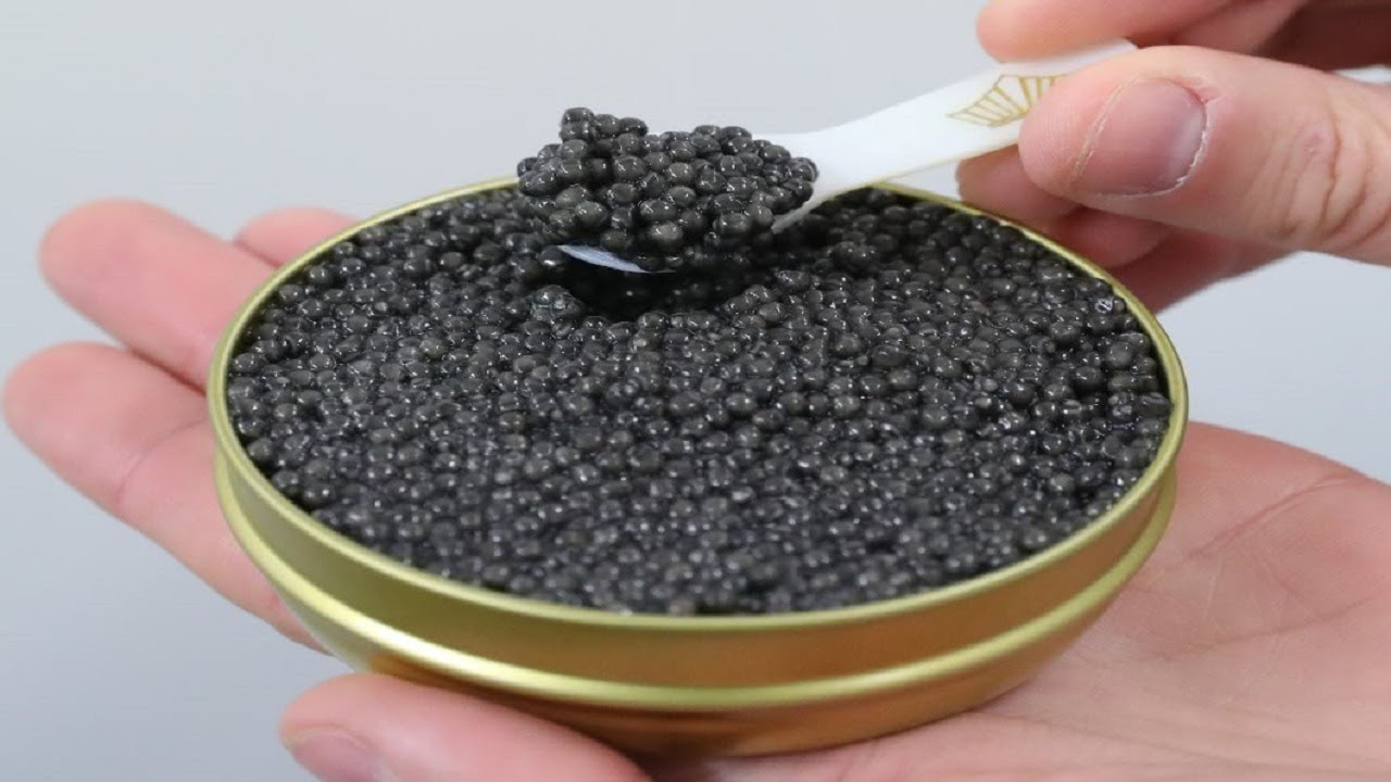 Как отличить черную. Caviar Russia черная икра. Икра черная осетровая. Черная икра мелкая. Икра осетра.