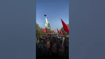 امنة البيوت بيدة وطلعة لطميات الأربعينيه 