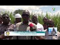 Le ministre de l’Industrie Serge Poda visite les installations de la SOSUCO