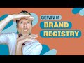 Overview of Brand Registry